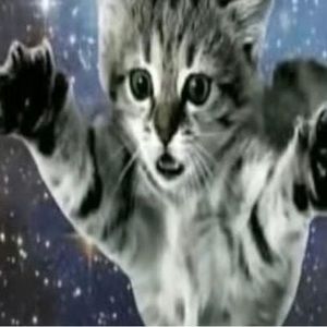 Meet your Posher, Lola